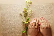 کتاب گویا چگونه به وجود آمد