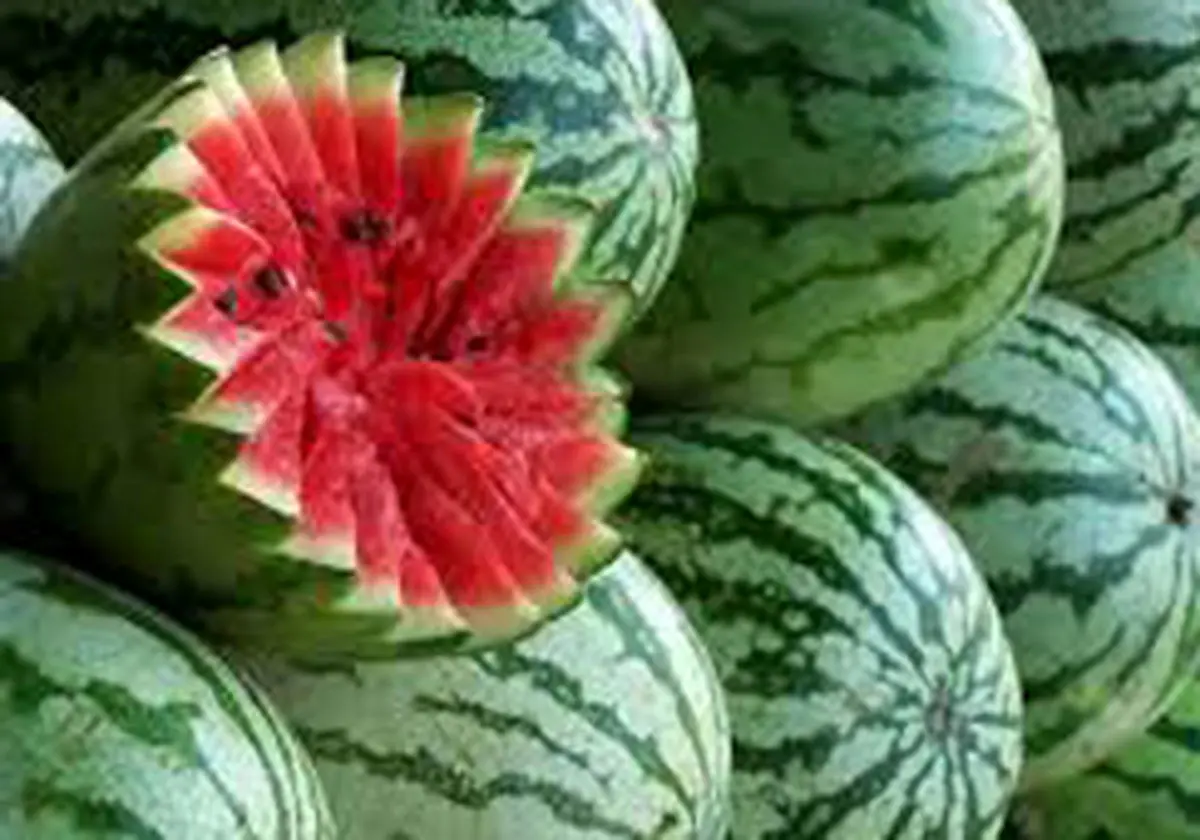 هندوانه با طعم خون مرغ
