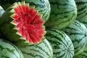 ‌هندوانه‌ با طعم خون‌ مرغ