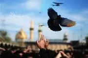 بازدید وزیر ارتباطات از پایانه مرزی شلمچه