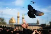 آیا می دانید کمترین پاداش برای زائر امام حسین(ع) چیست؟