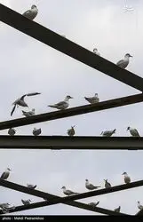 JAIgurhcAK0x