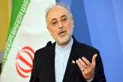ایران در همه زمینه‌های هسته‌ای قادر به طراحی است