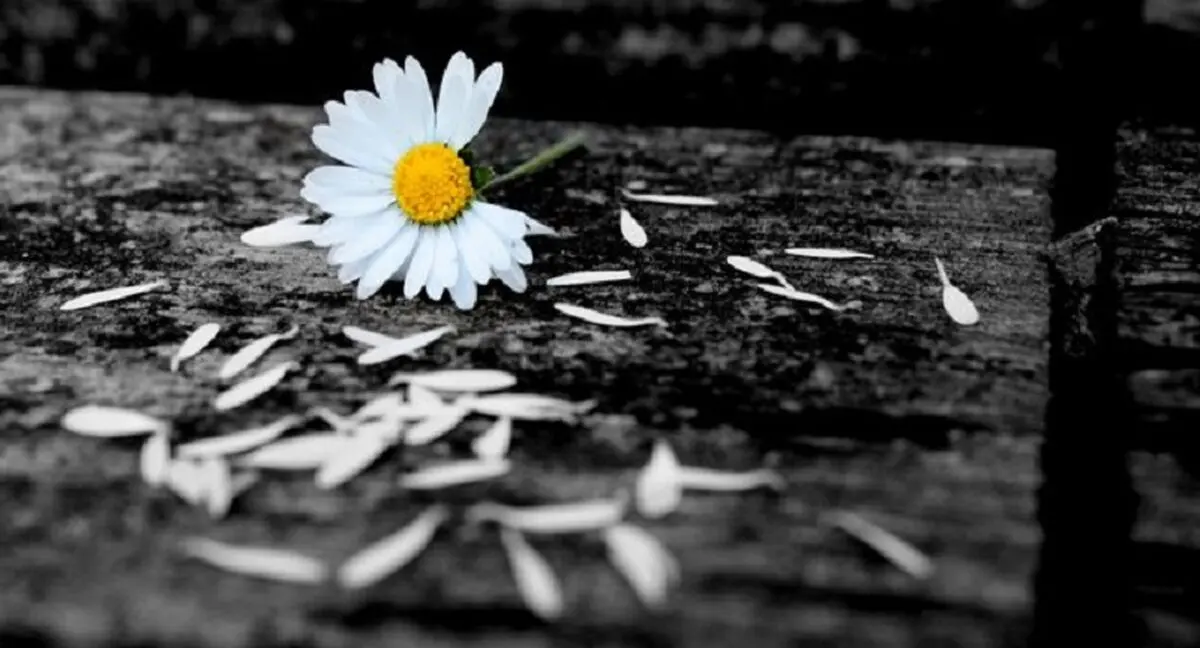 چه زمانی گرانی می شود و عمر انسانها کوتاه می گردد؟