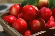 میوه ای برای رفع خستگی عصبی