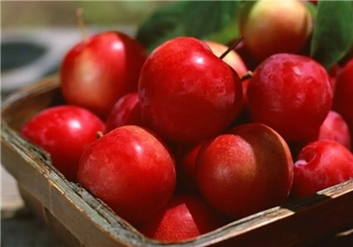 میوه ای برای رفع خستگی عصبی