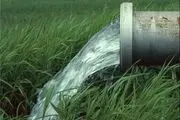 امسال مشکلی از نظر تأمین آب کشاورزی در تالش نداریم
