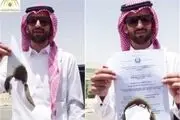 کمپین سوزاندن مدارک دانشگاهی در عربستان