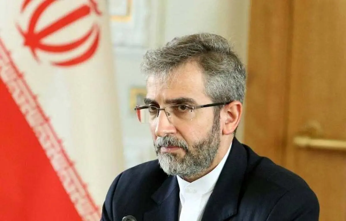 دولت سیاست خارجی را دستاویز بازی سیاسی نمی‌داند