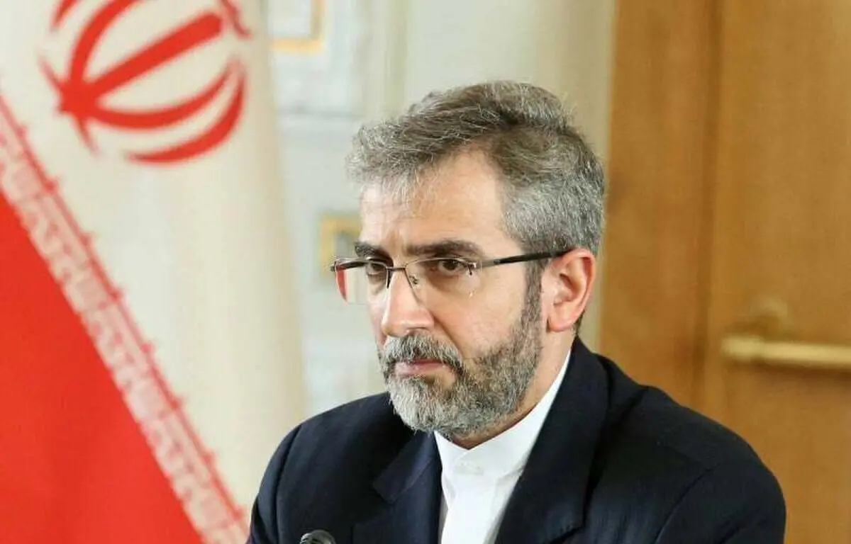 دولت سیاست خارجی را دستاویز بازی سیاسی نمی‌داند