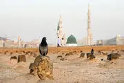 قبر حضرت فاطمه (س) کجاست؟