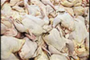 دور جدید عرضه نامحدود مرغ گرم ۴۶۵۰ تومانی
