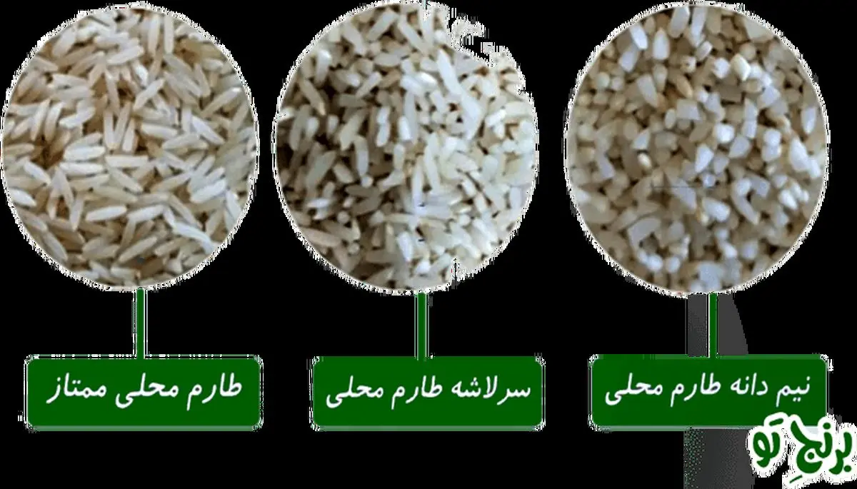 در مورد برنج طارم چه می دانید؟
