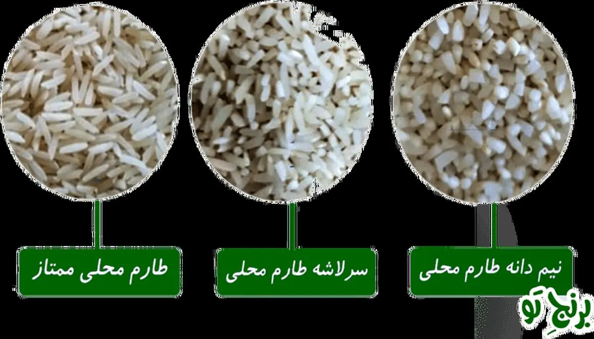 در مورد برنج طارم چه می دانید؟
