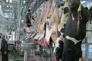فریاد رسی برای کشتارگاه صنعتی بابل نیست