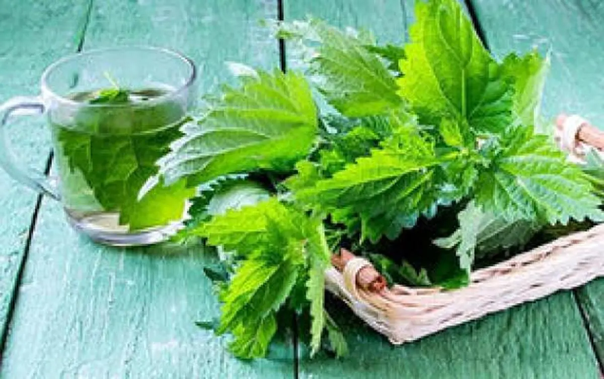شربتی که سنگ کلیه را پودر میکند