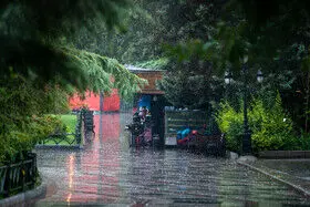 باران پاییزی در تهران/ گزارش تصویری 