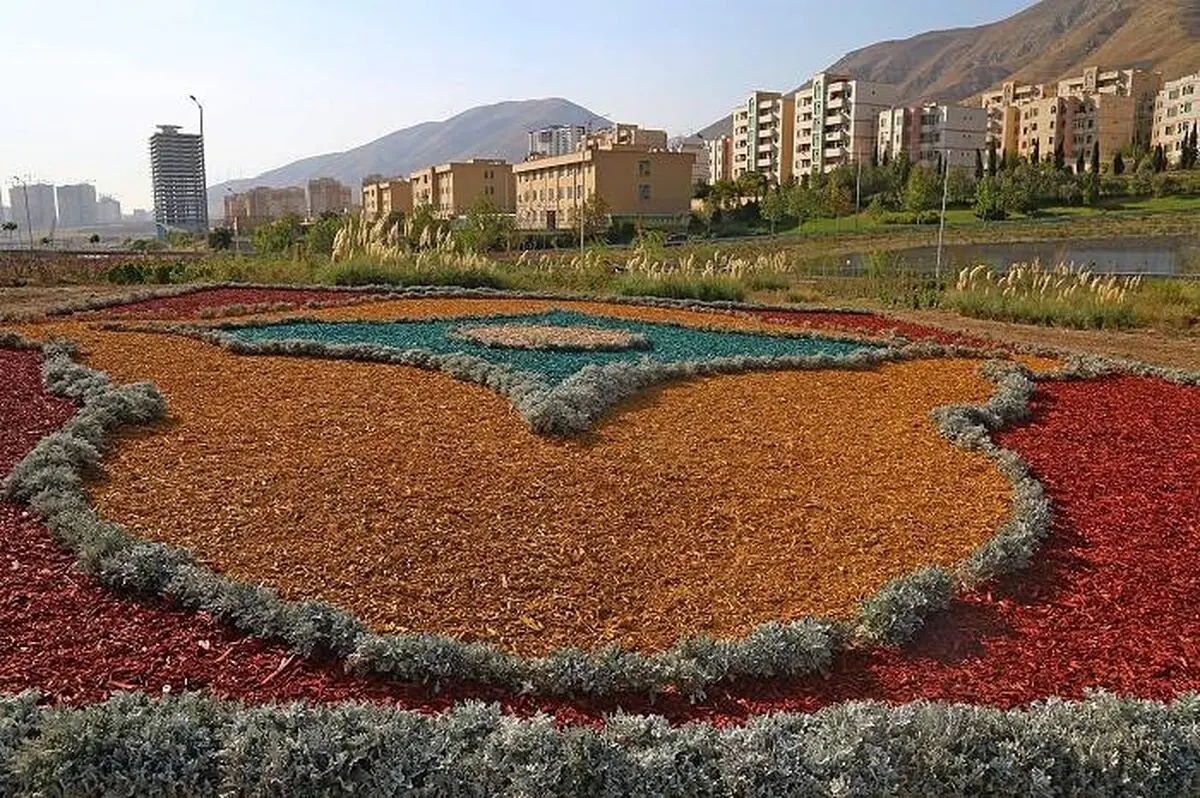 چیپس درختی به جای چمن‌کاری در تهران + عکس