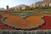 چیپس درختی به جای چمن‌کاری در تهران + عکس