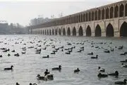 زاینده‌رود در کمتر از چند هفته دوباره جاری شد