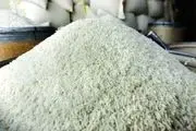 اراده خودکفایی برنج در دولت وجود ندارد