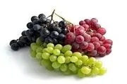 میوه ای جادویی که سلامتی شما را تضمین می کند