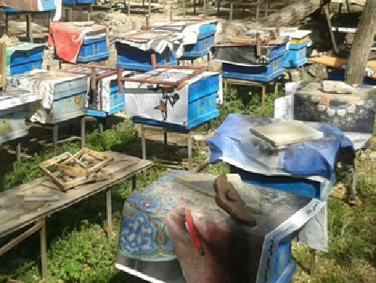کشورهای خارجی عسل نطنز را پیش خرید می کنند
