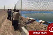 
غرق شدن افغانها در استخر + عکس
