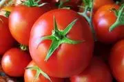 قیمت گوجه فرنگی ۷ هزار تومان کاهش یافت

