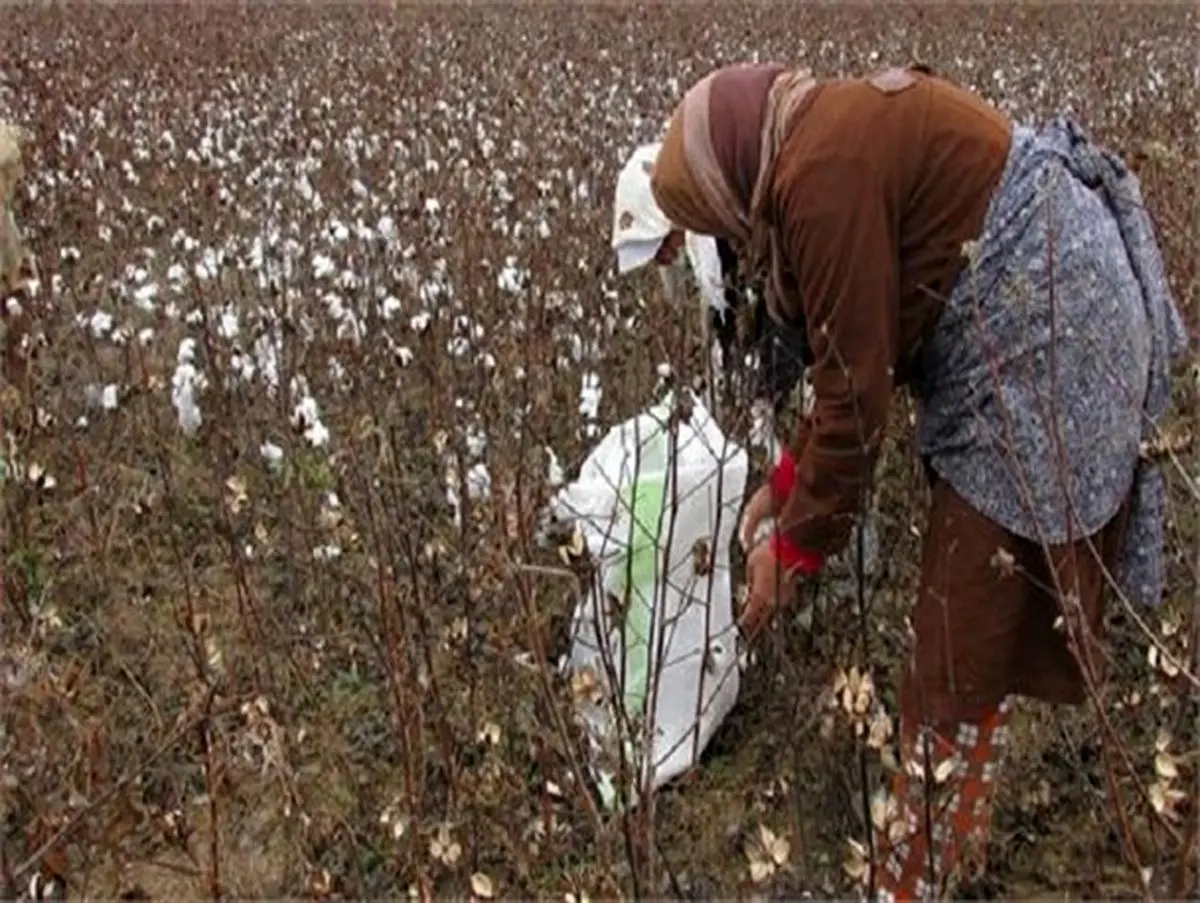 زنان روستایی، بازوی قدرتمند توسعه روستایی