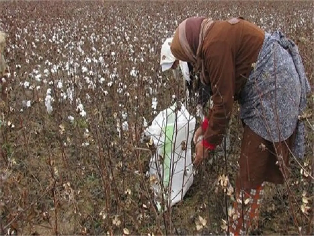 زنان روستایی، بازوی قدرتمند توسعه روستایی