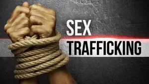 وضعیت تجارت جنسی در چه سطحی است؟