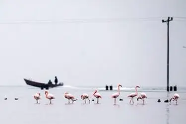 13951214001167636242323825381100_98660_PhotoU