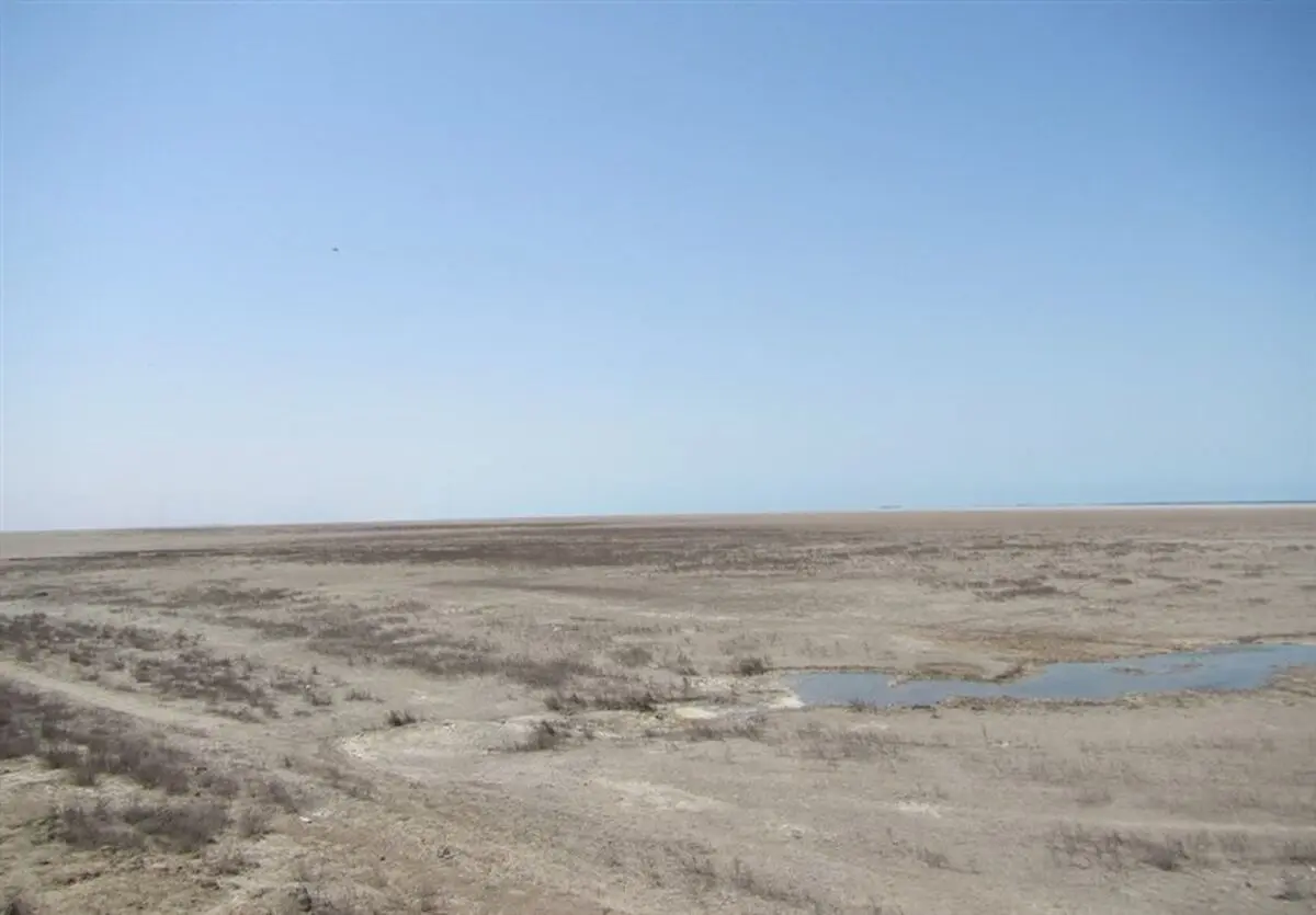 میگوهای دوست‌داشتنی و دستوری که اجرا نمی‌شود