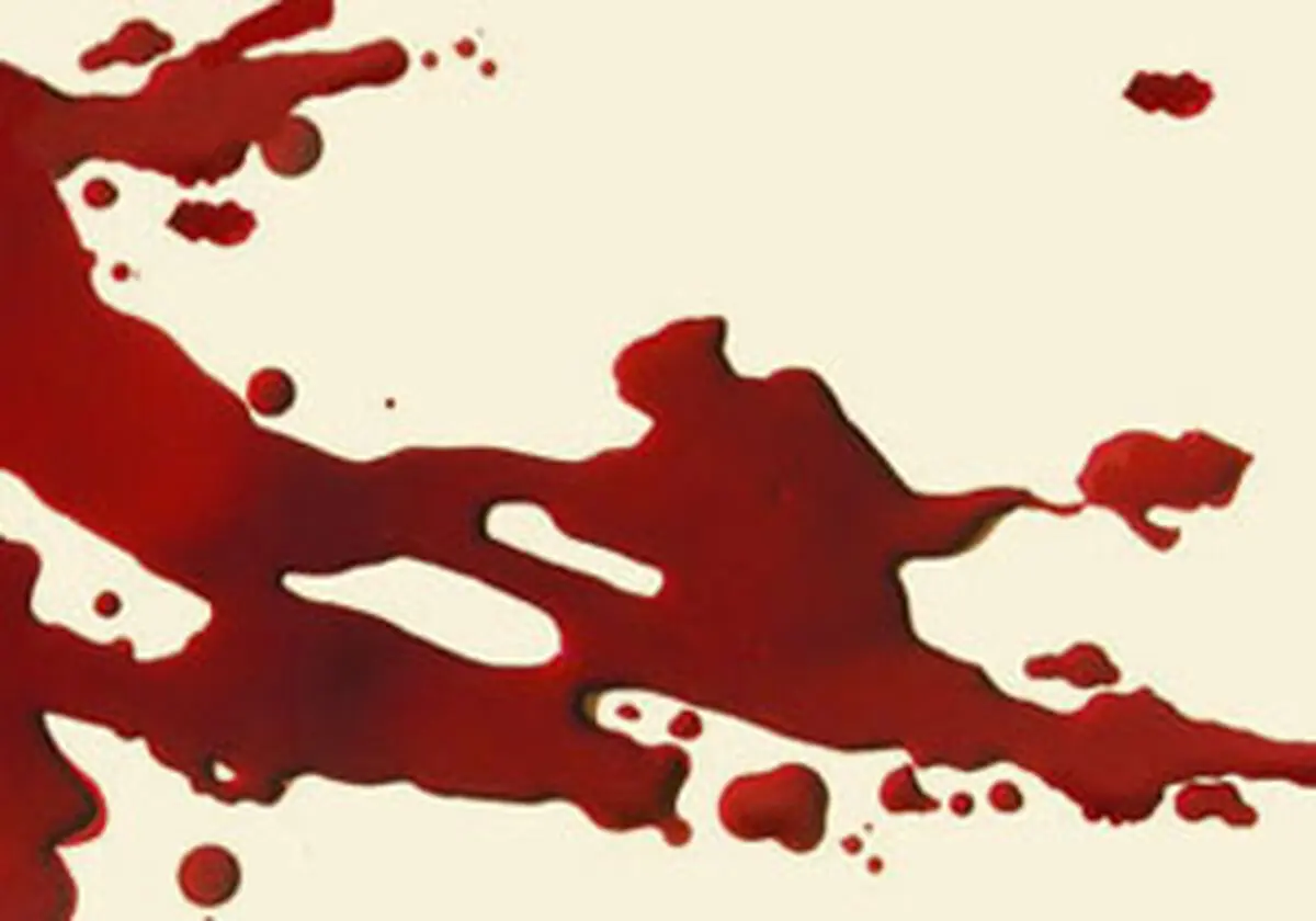 ماجرای پیچیده قتل یک زن در خزانه