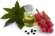ابروهایتان را یک هفته ای پرپشت کنید