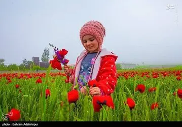 tQ6DlKEFvSO9