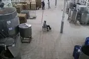 خاص‌ترین کارخانه ایران!/ گزارش تصویری