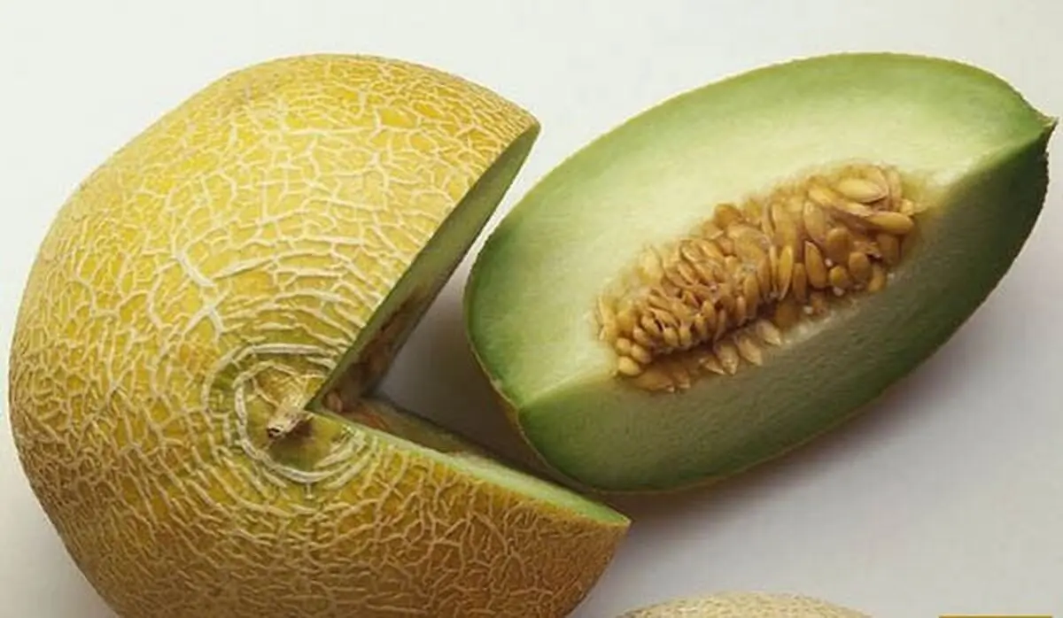 آنچه درباره خربزه نمی دانید