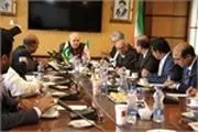 تأکید معاون مطبوعاتی بر توسعه همکاری‌های رسانه‌ای ایران و پاکستان