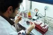 ریسک ابتلا به سرطان در دوقلوها بالاست
