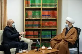 دیدار رئیس مجلس شورای اسلامی با مراجع عظام تقلید در قم/گزارش تصویری