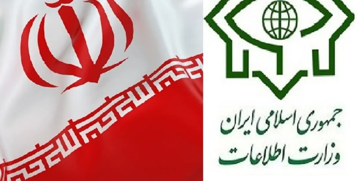 وزارت اطلاعات یک تبعه سوئدی را به اتهام جاسوسی بازداشت کرد