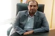 تاکنون 20 هزار تن گندم در هرسین خریداری شده است