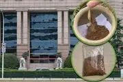 خرافات جدید از راه رسید؛ خاک گلدان‌های بانک‌ پول‌دارتان می‌کند!