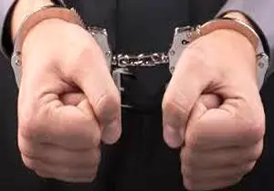 دستگیری باند 6 نفره قاچاق اشیاء عتیقه در دیشموک
