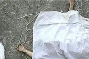 علت سقوط نوعروس ۲۴ ساله از برج کامرانیه
