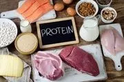 برای قلب کدام بهتر است: پروتئین گیاهی یا حیوانی؟