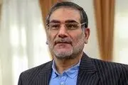 شمخانی در پرواز به سمت کابل/ عکس