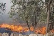 سوختن 750 هکتار از مراتع و جنگلهای اسلام آبادغرب طی 333 مورد حریق